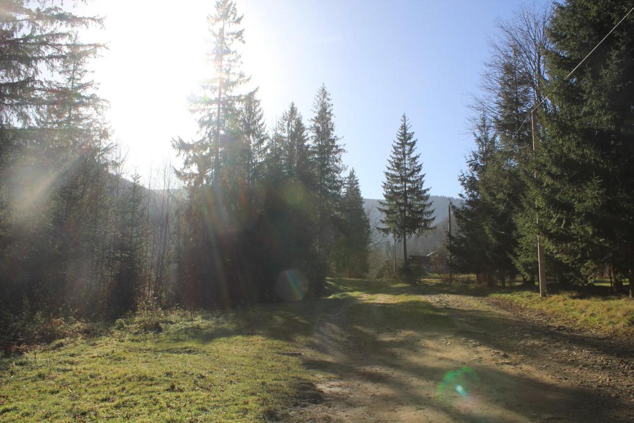 Котедж Mountain House Yaremche Luaran gambar